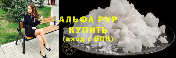 спиды Вяземский