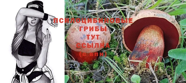 спиды Вяземский