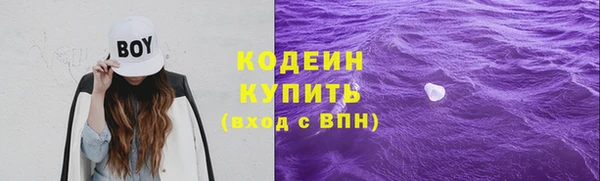 спиды Вяземский