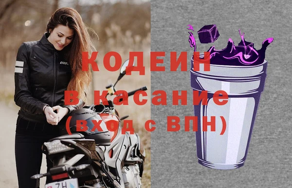 спиды Вяземский