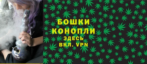 спиды Вяземский