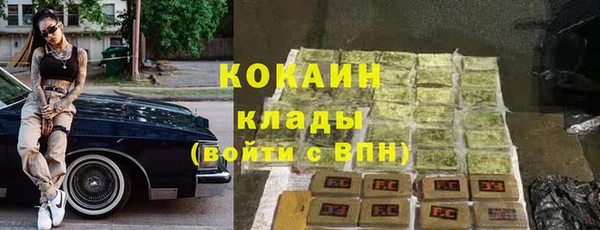 спиды Вяземский
