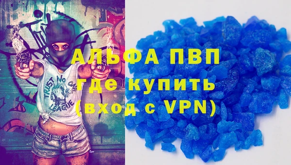 спиды Вяземский